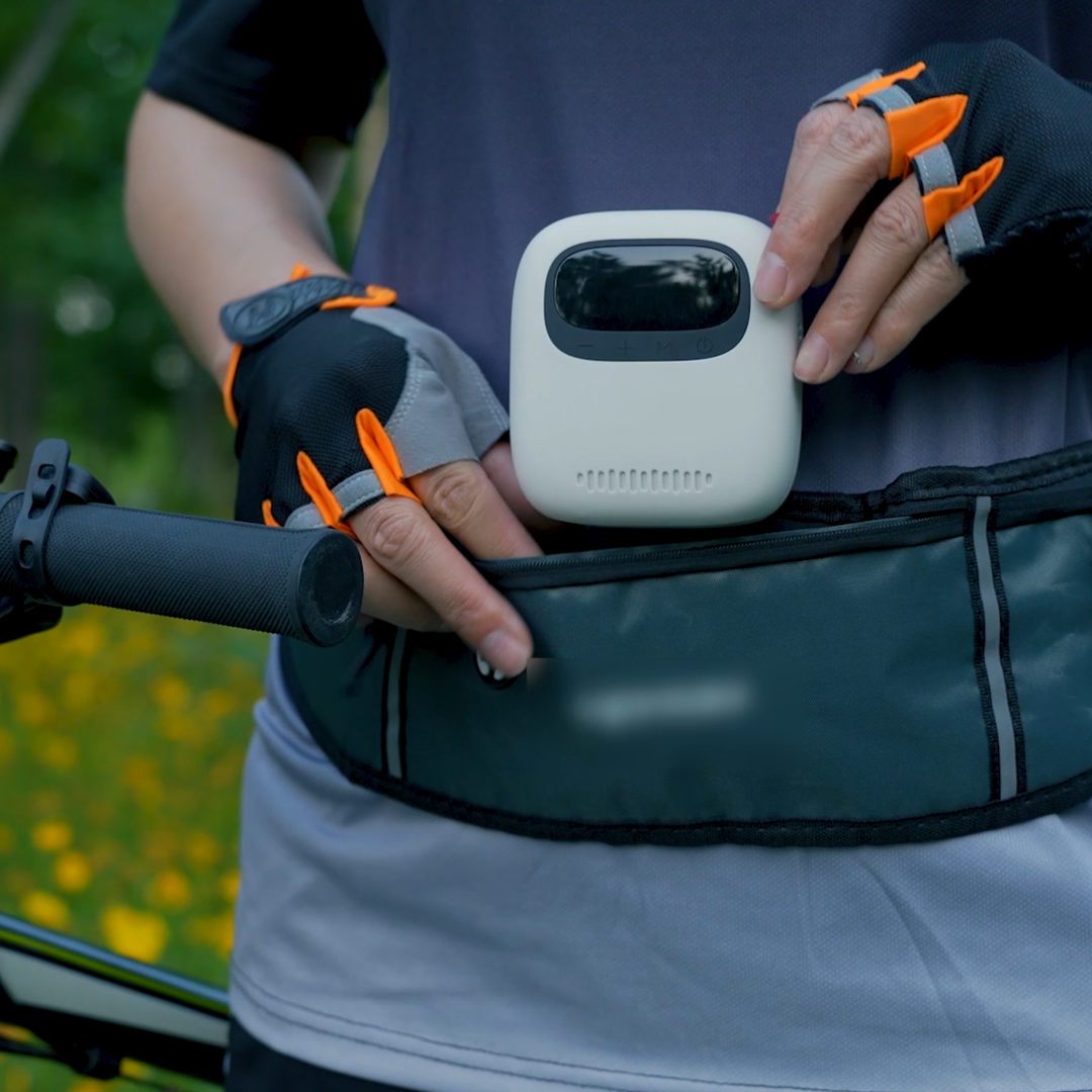 Big Air, Tiny Companion