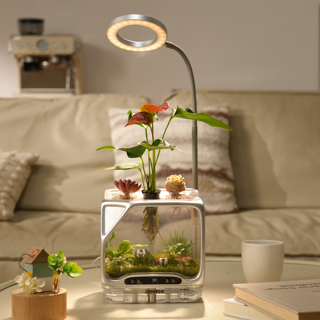 World's First Scenic Aeroponic Ecosystem