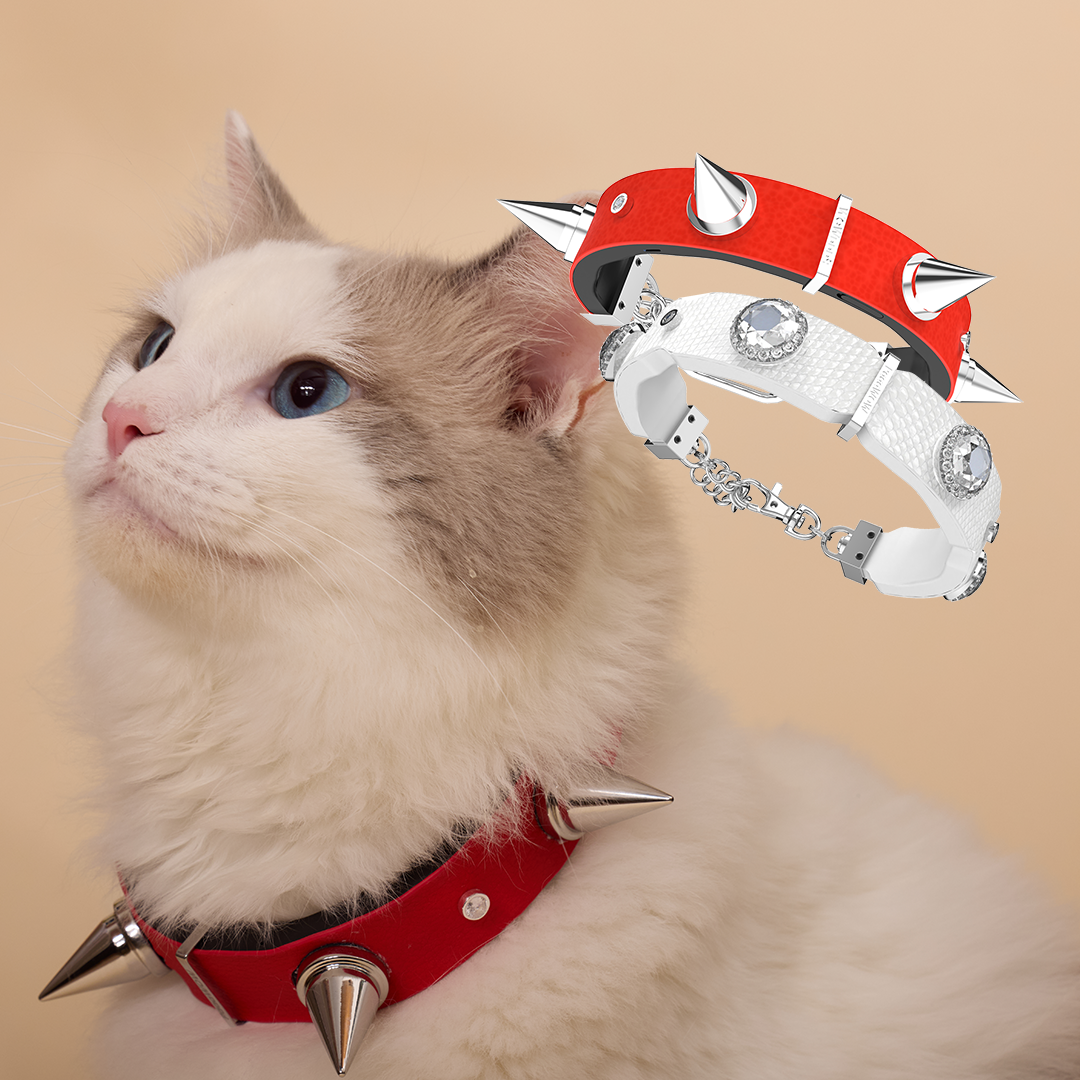 What If You Could Understand Your Pet?