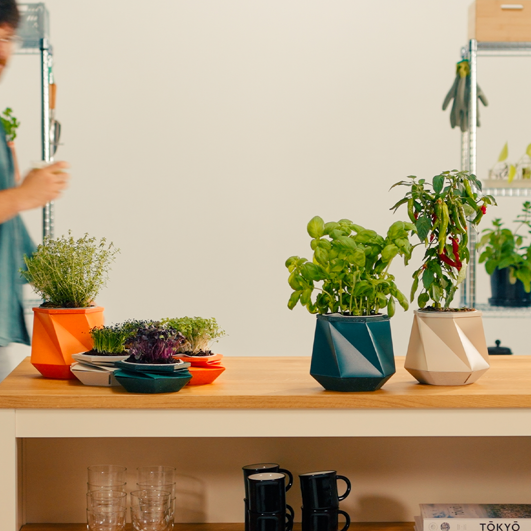 This Self-Watering Pot Grows With Your Plant