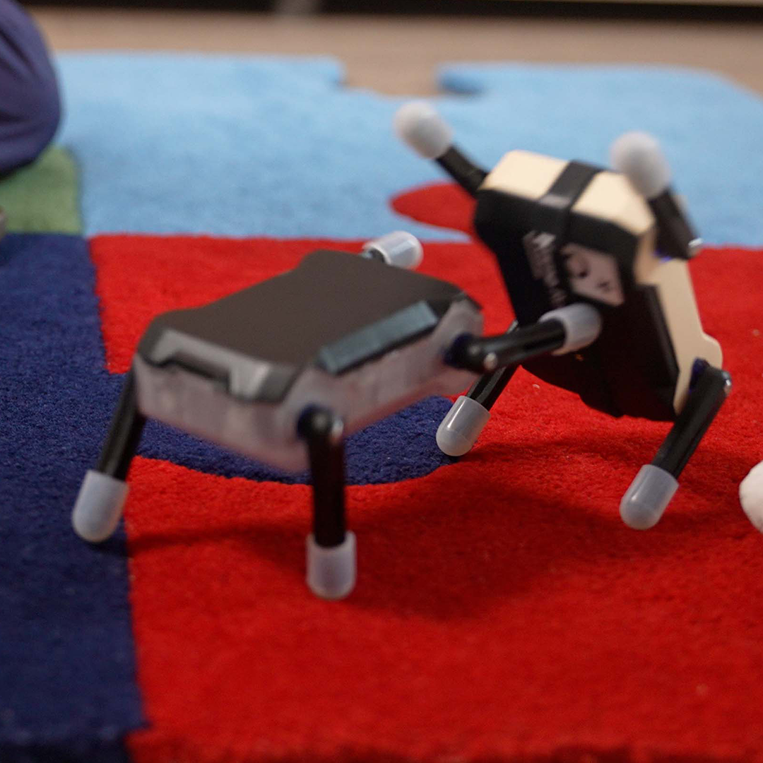 A Powerful DIY Robot For Endless Fun And Learning
