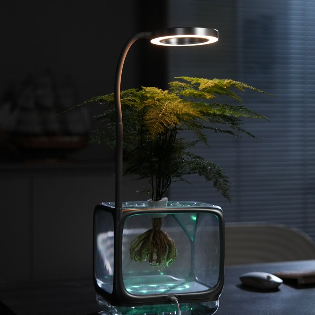 A Living Ecosystem On Your Desk