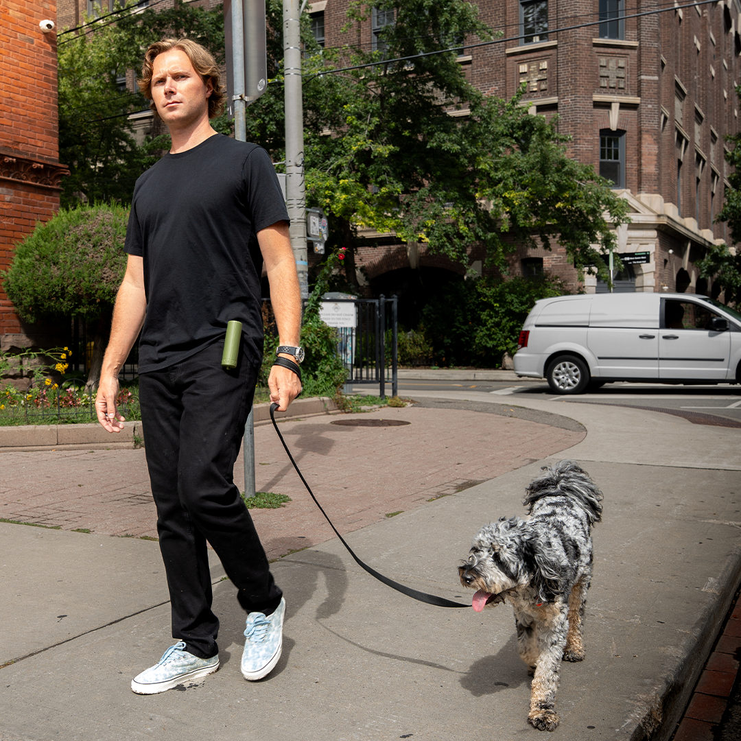 Dog Training Made Faster And Easier
