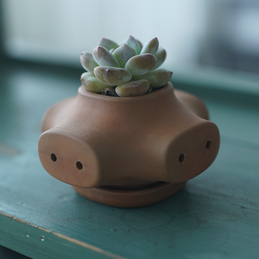 Modular Terracotta Planter System
