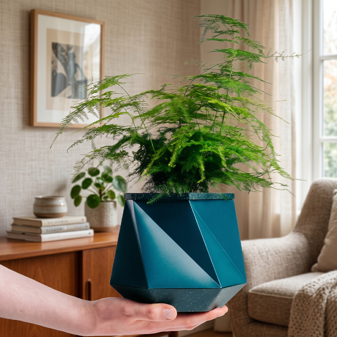 This Self-Watering Pot Grows With Your Plant
