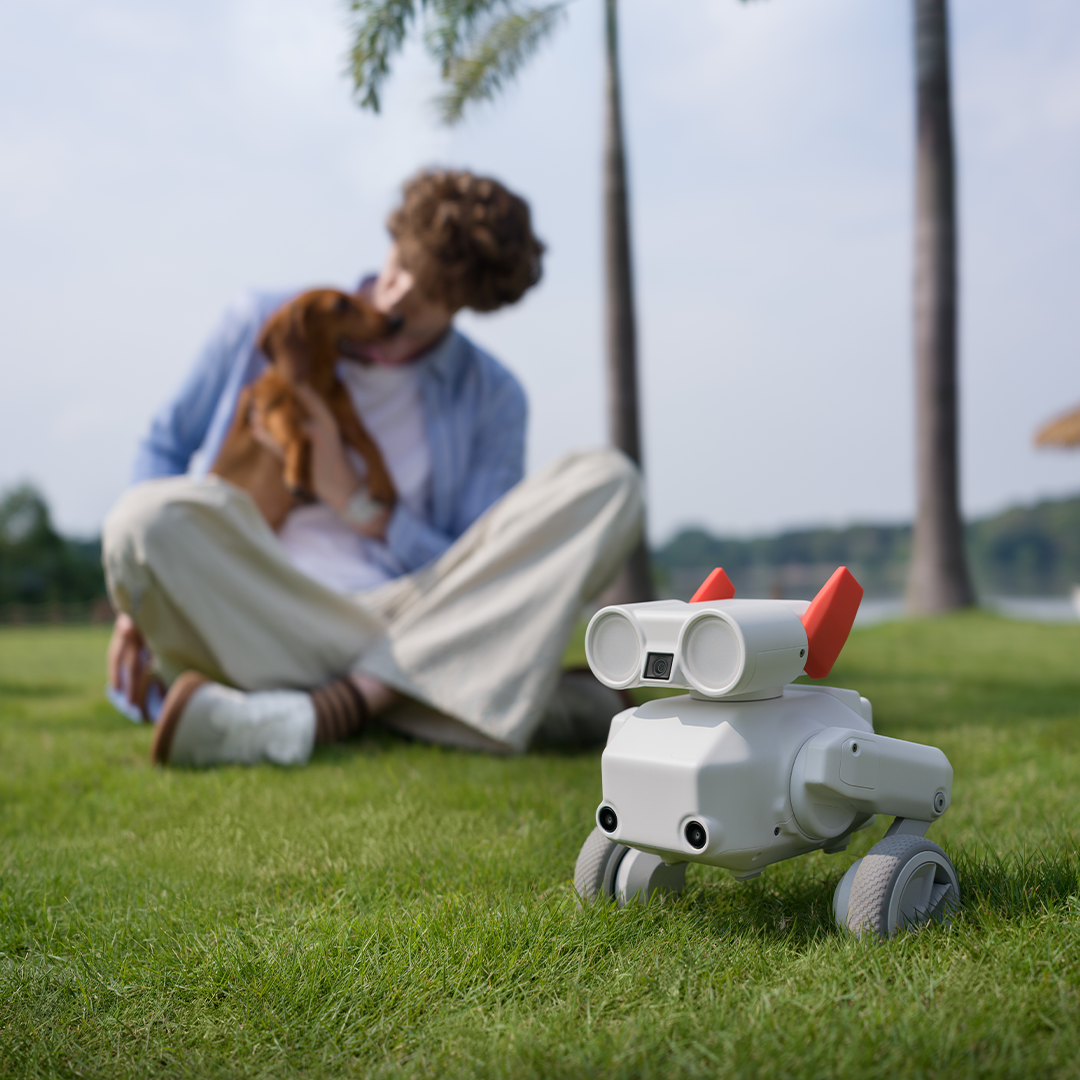 Your All-Terrain Robot Camera Operator