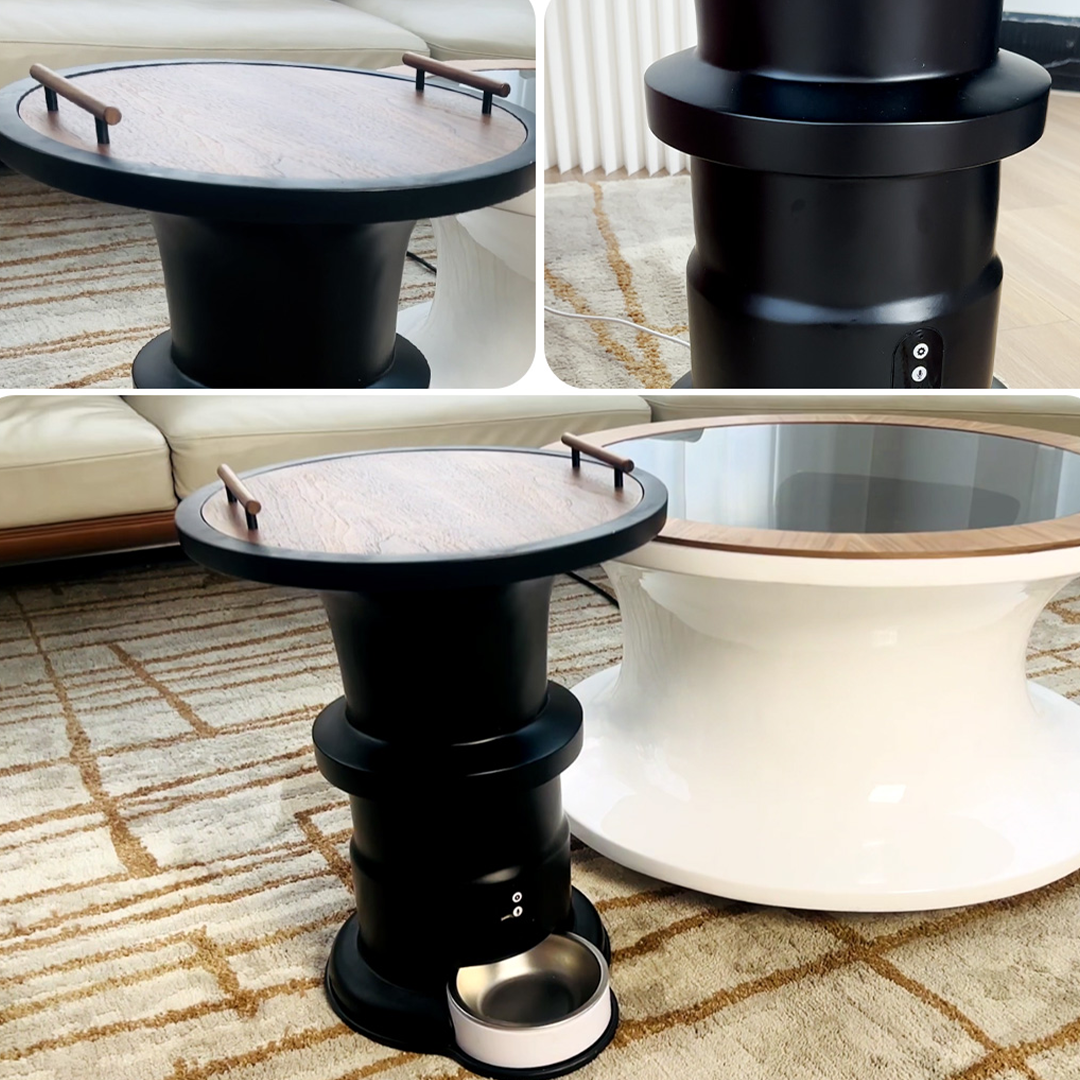 Furniture For Pets And People