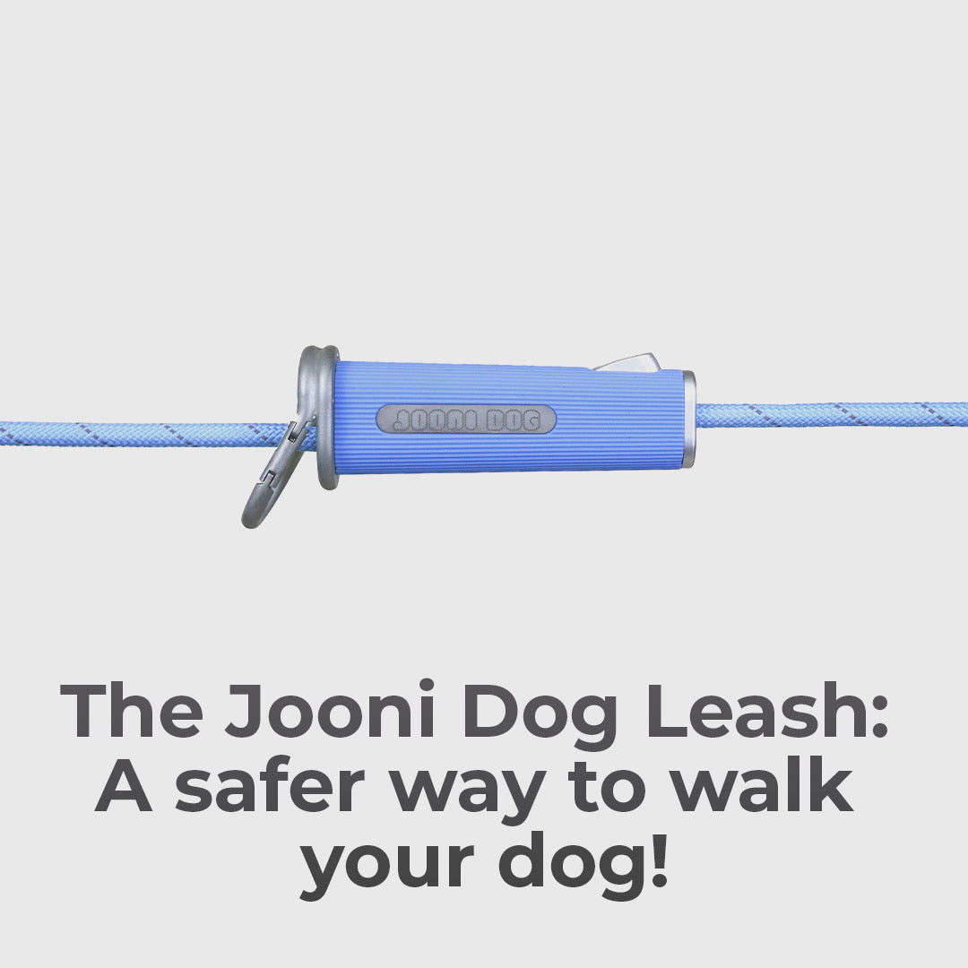 The Dog Leash Reinvented