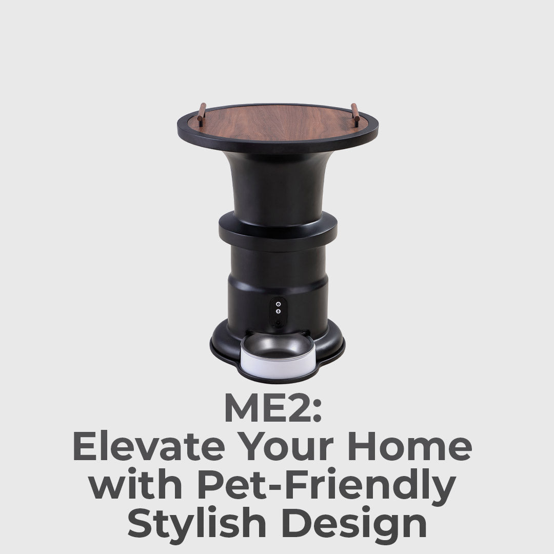 Furniture For Pets And People