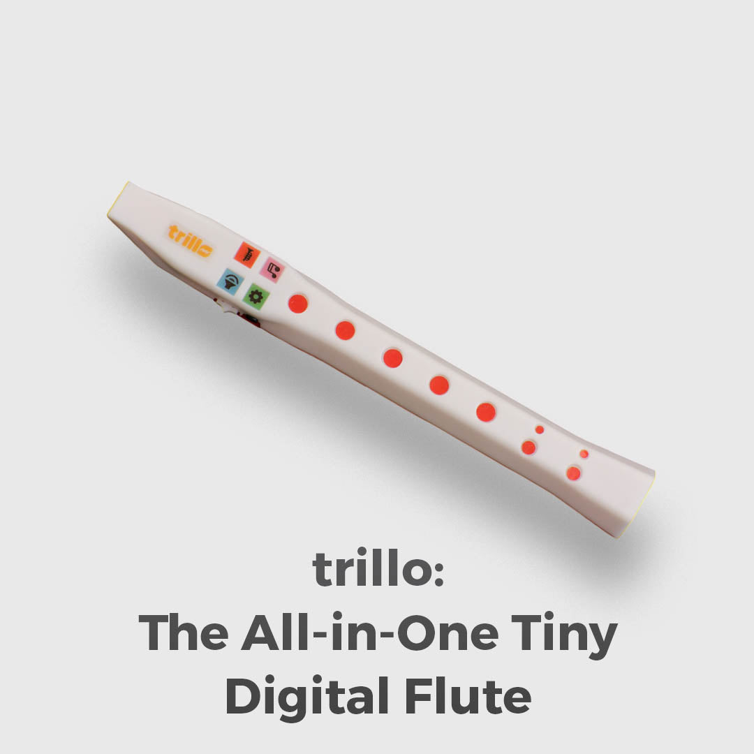 Tiny Digital Flute With Onboard Sounds