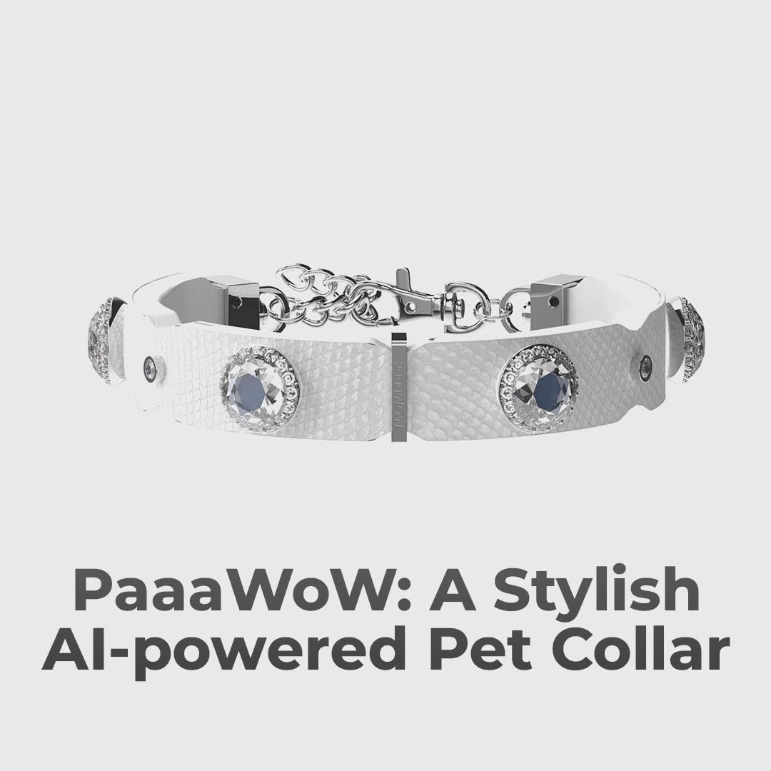 What If You Could Understand Your Pet?