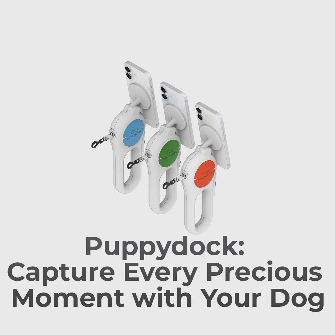 Capture Every Walk Hands Free