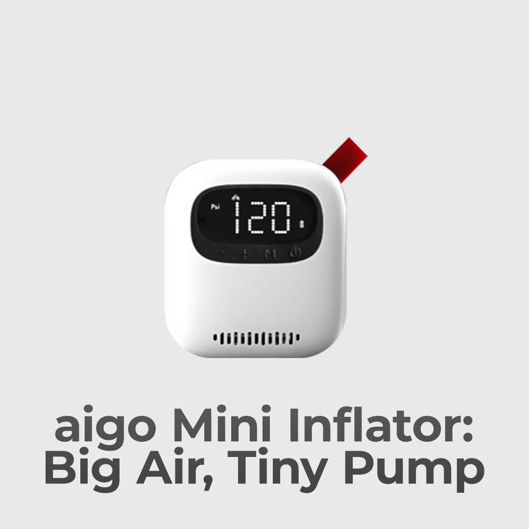 Big Air, Tiny Companion