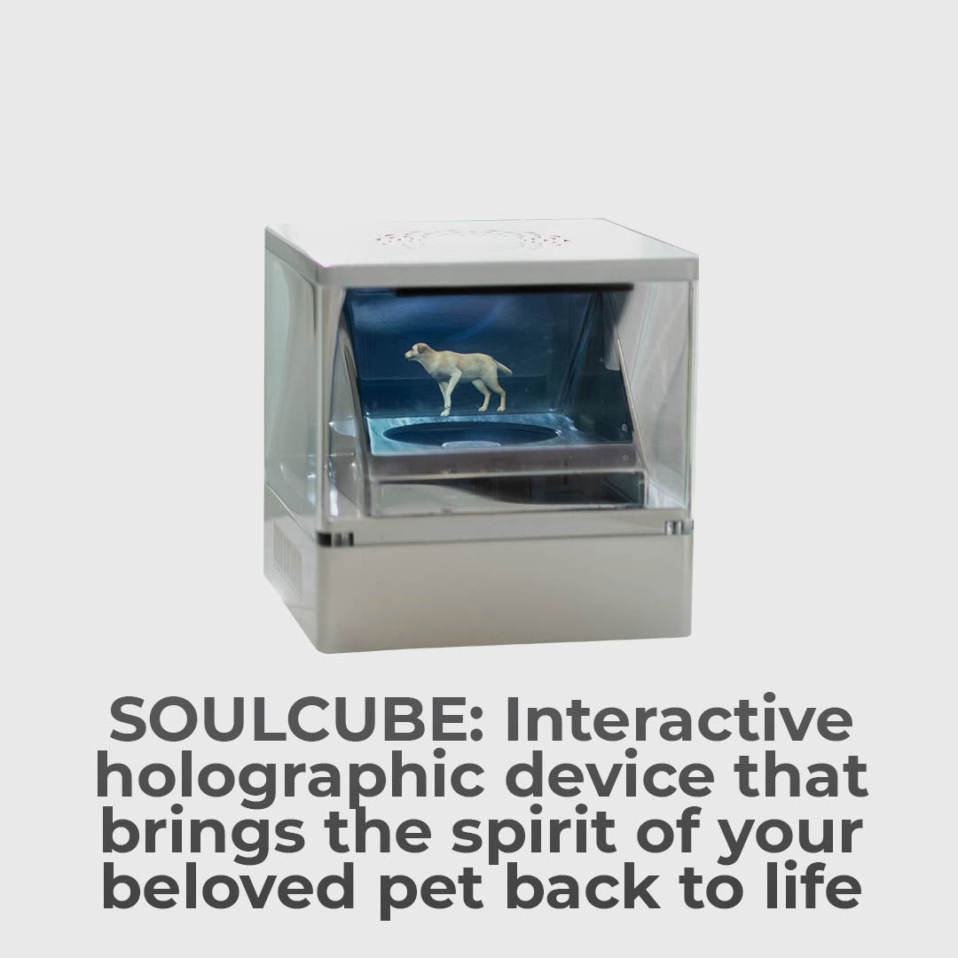 Experience Lifelike Pet Holograms at Home