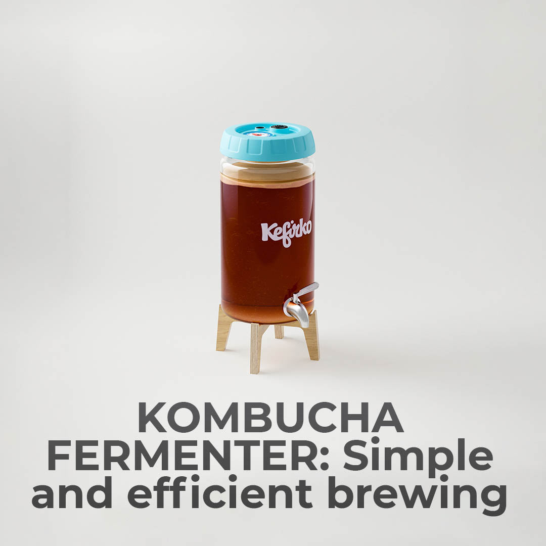 Kombucha Fermenter At-Home Brewing Jar