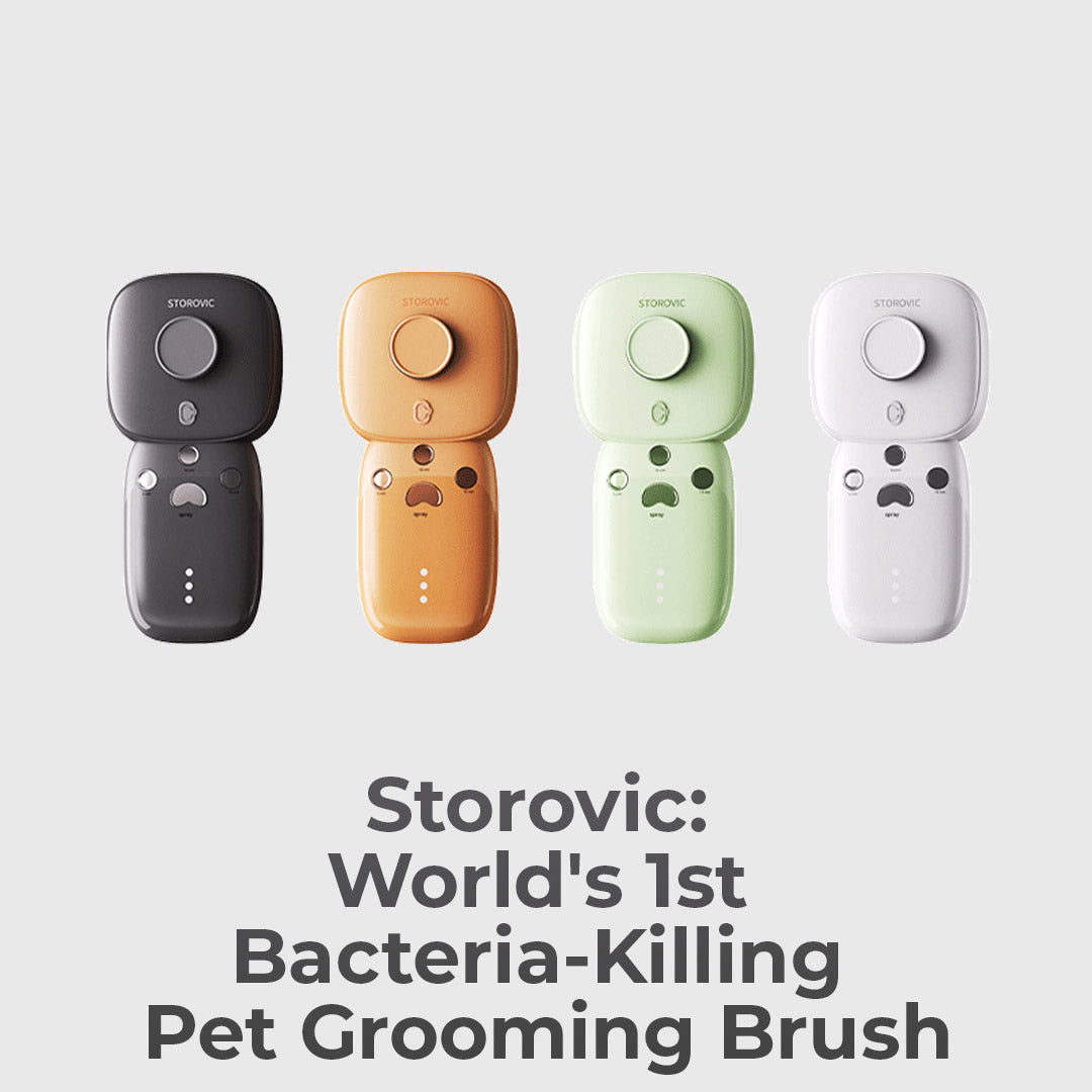The Pet Brush That Kills 99.9% Bacteria