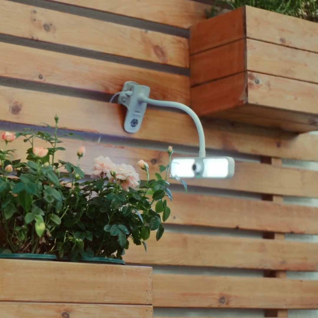 AI Plant Time-Lapse Grow Light Camera