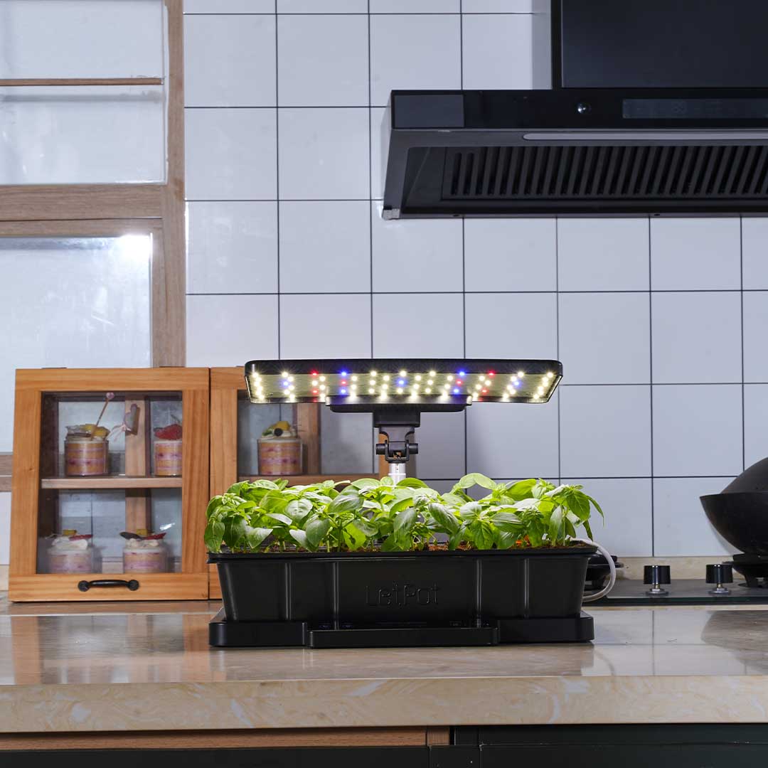 Start Strong, Grow Smarter