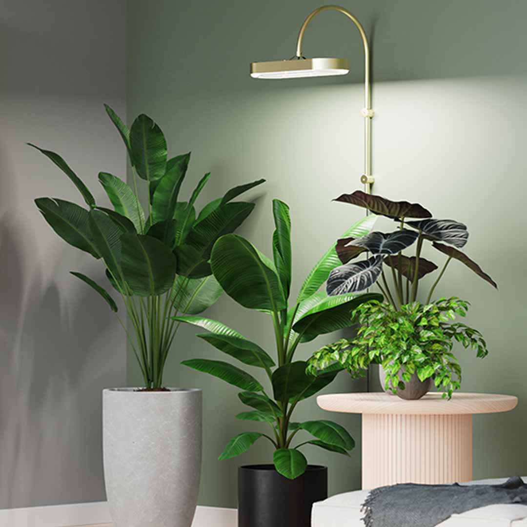 The 48W Grow Light With Airflow