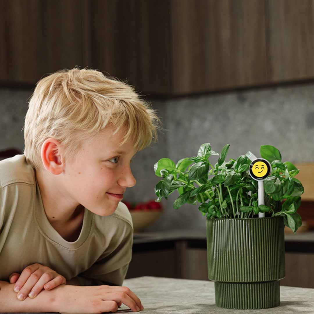 Know Exactly How Your Plant Feels