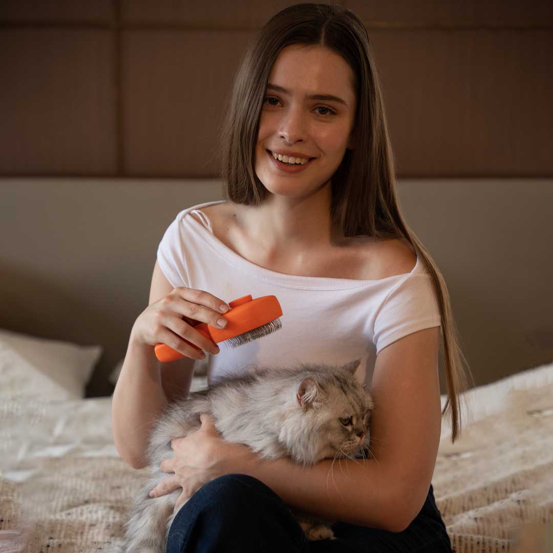 The Pet Brush That Kills 99.9% Bacteria