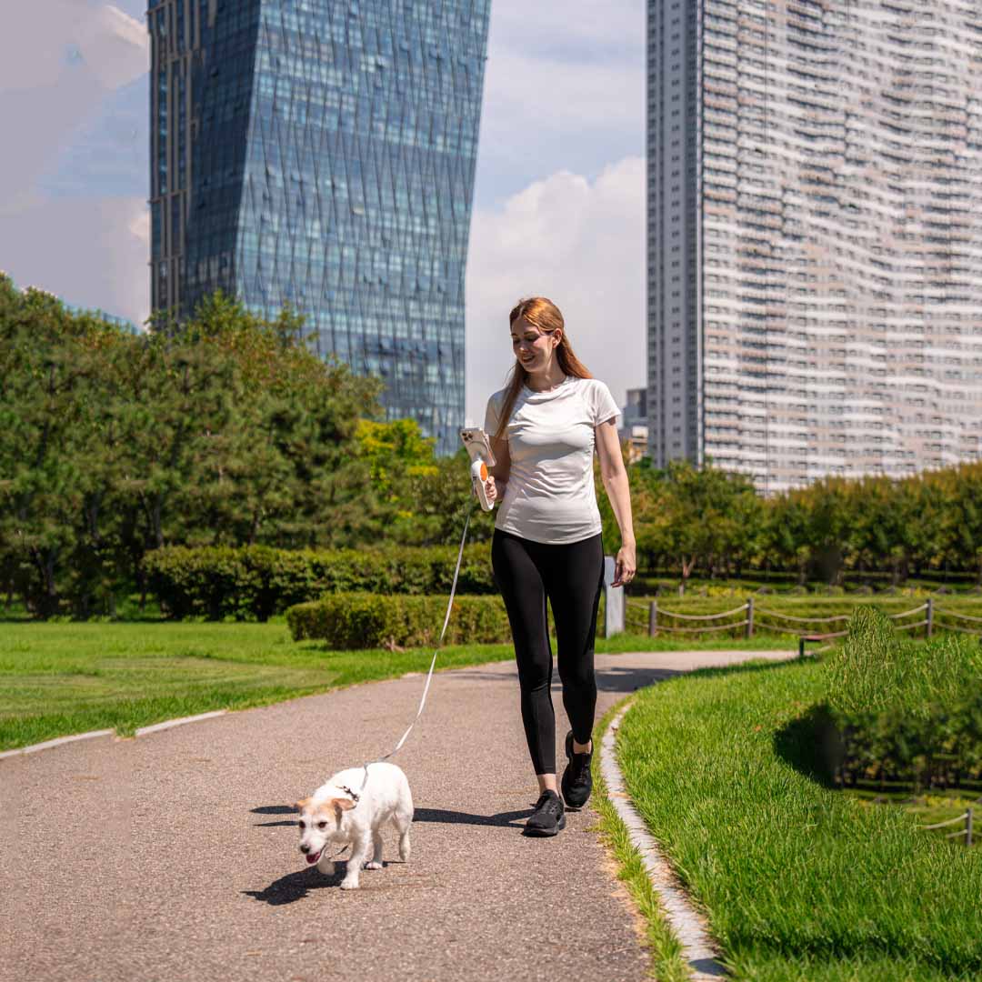 Capture Every Walk Hands Free