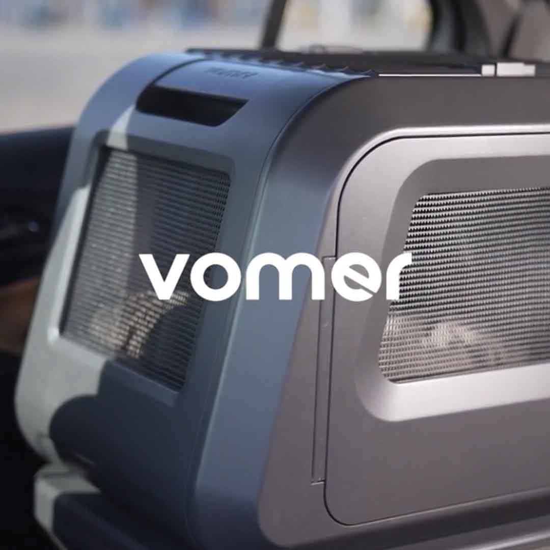 Car Safety For Your Pet