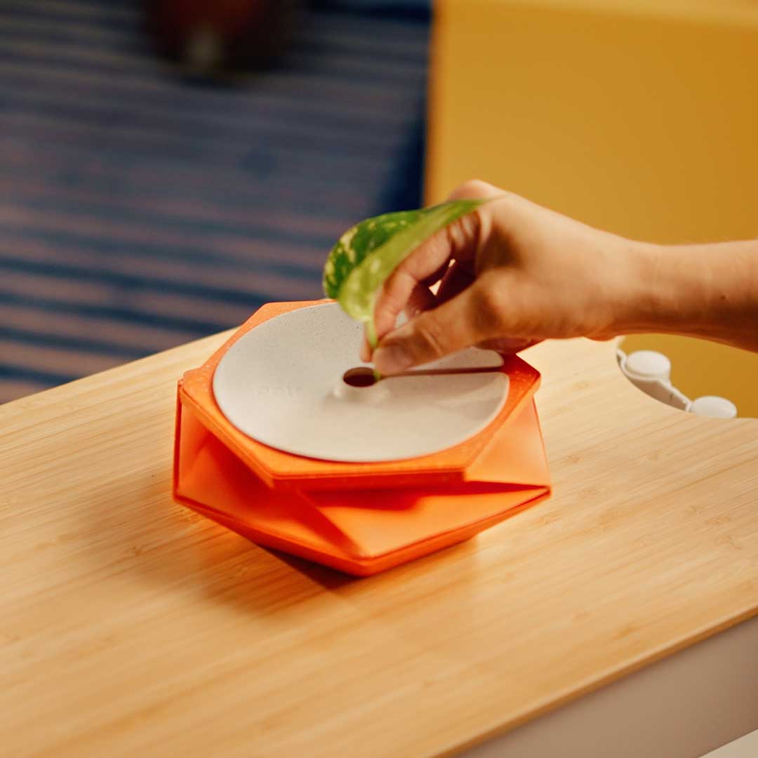 This Self-Watering Pot Grows With Your Plant