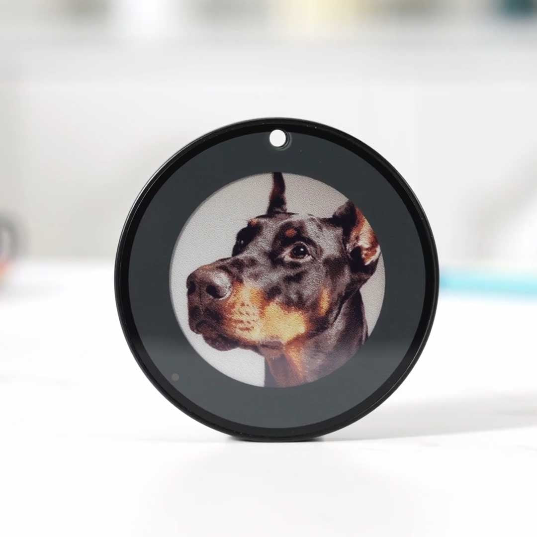 Trackers That Speak For You