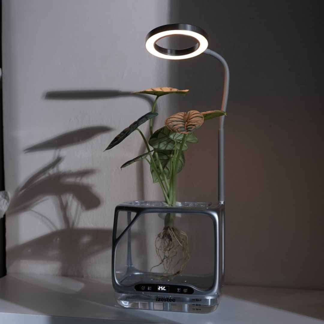 A Living Ecosystem On Your Desk