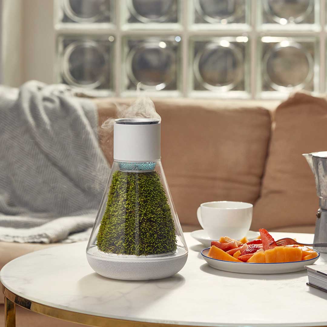 Natural Moss, Fresher Air