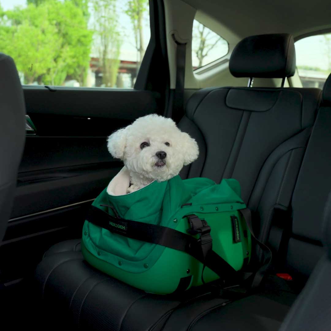 Hard-Shell Pet Carrier, No Droopy Floors