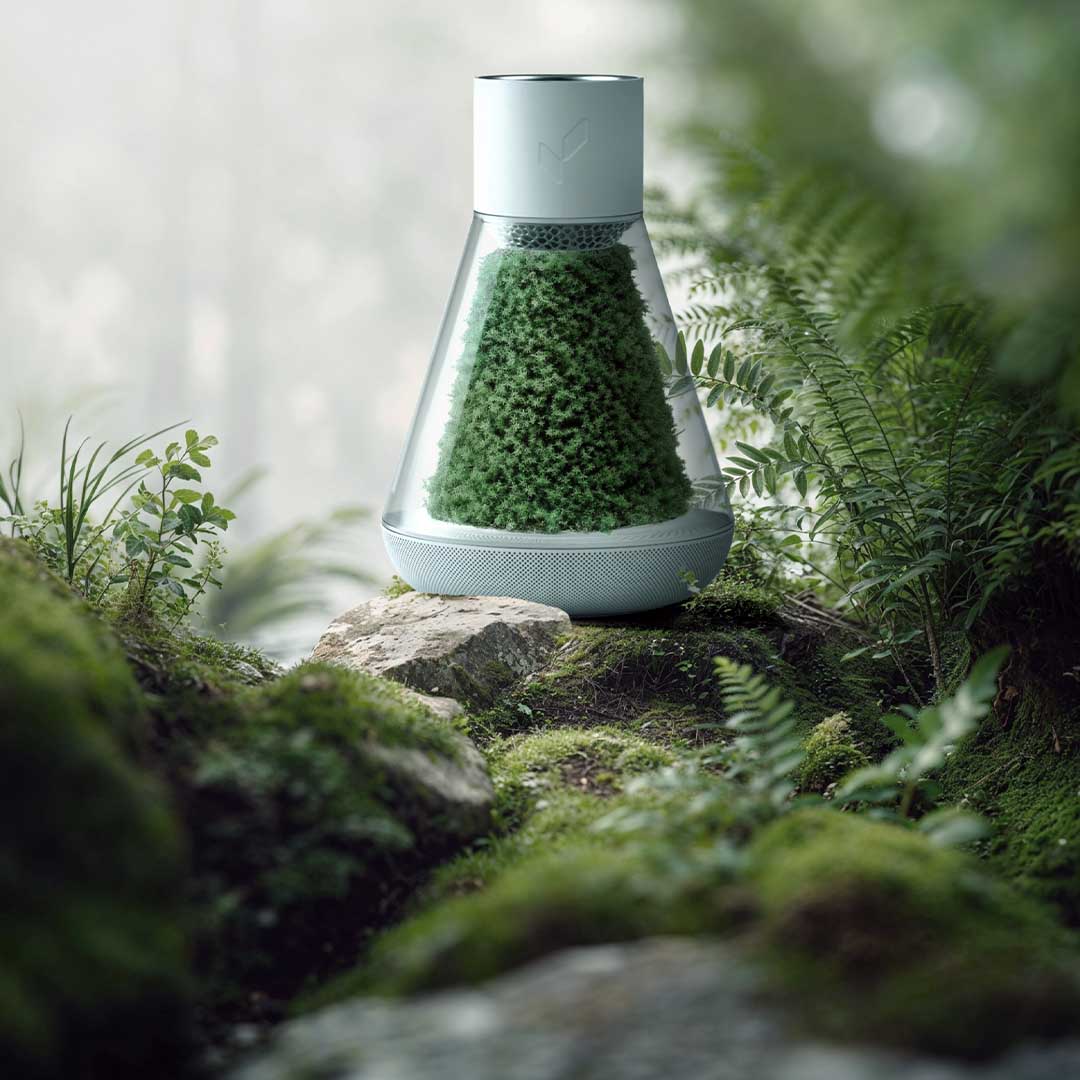 Natural Moss, Fresher Air