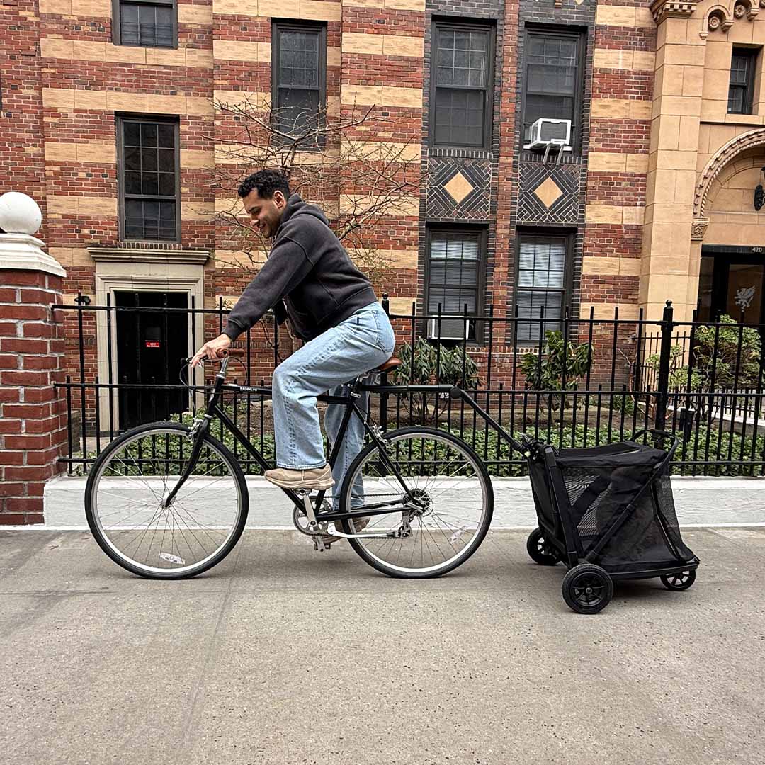 A Backpack, Stroller, & Bike Trailer For Your Dog