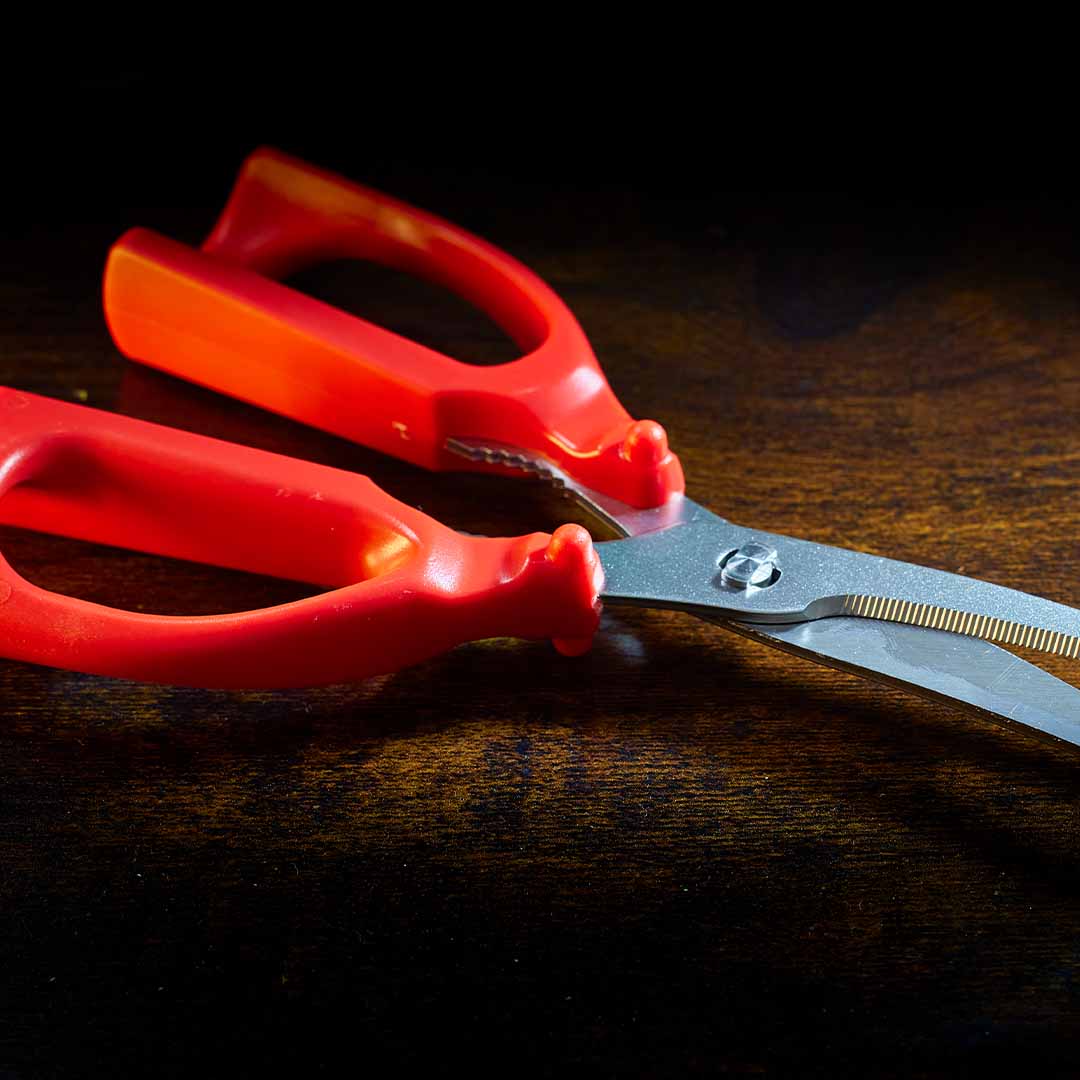 The Scissors Your Kitchen Deserves