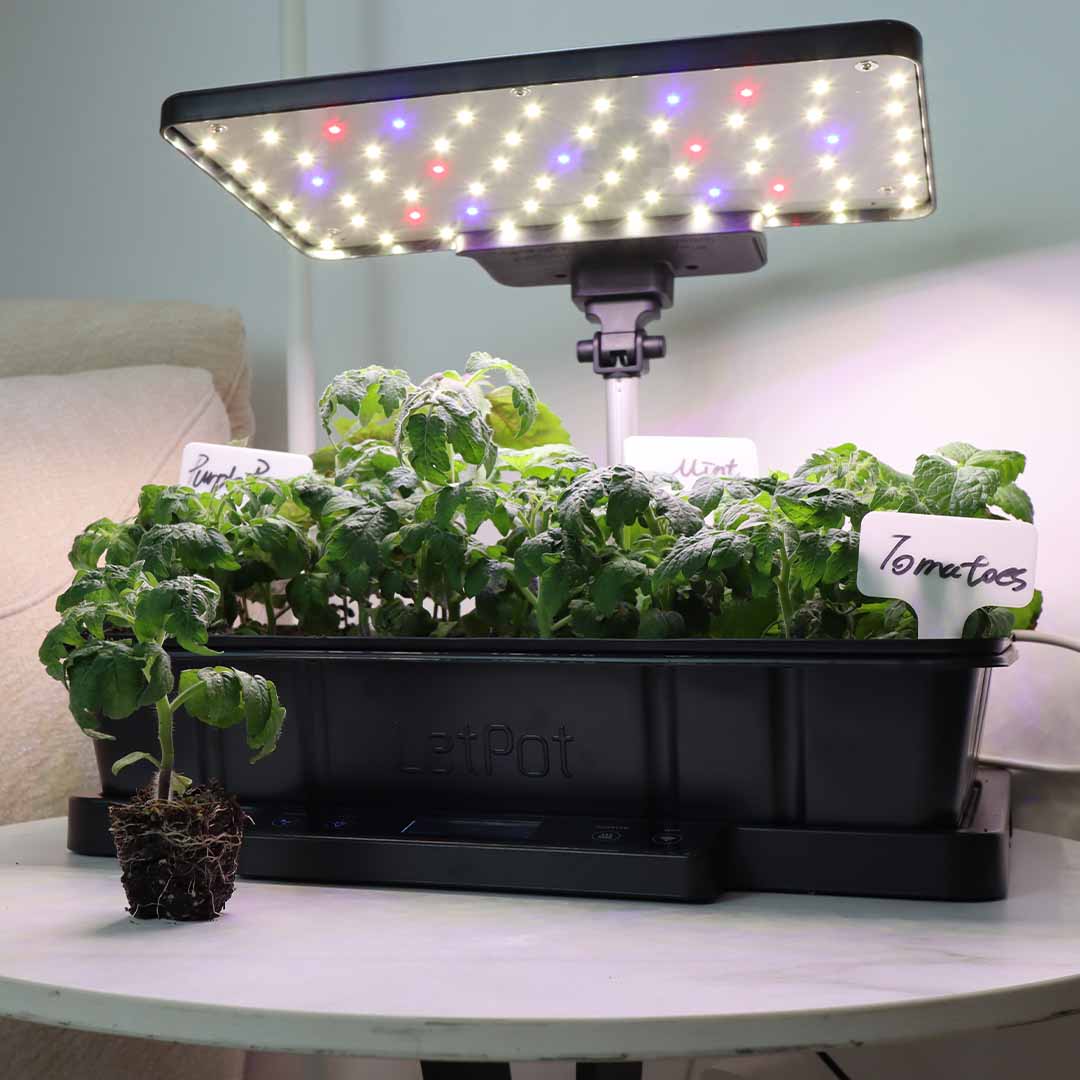 Start Strong, Grow Smarter