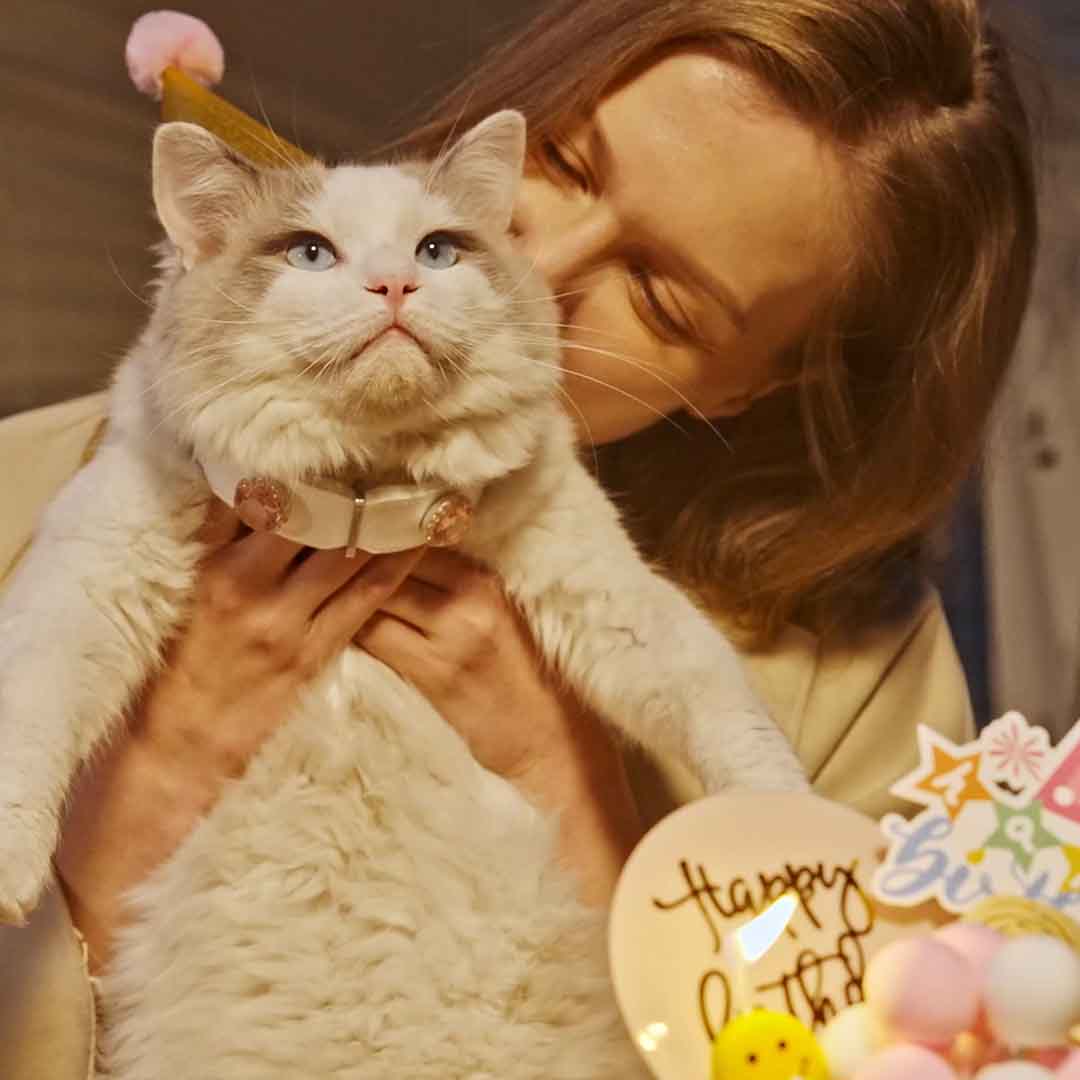 What If You Could Understand Your Pet?