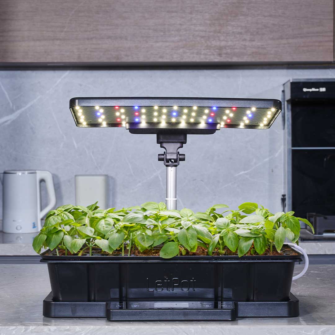 Start Strong, Grow Smarter