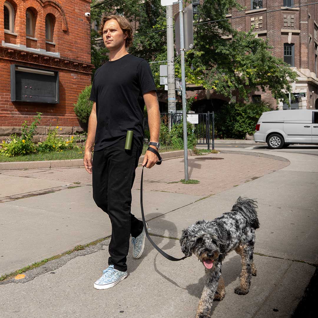 Dog Training Made Faster And Easier