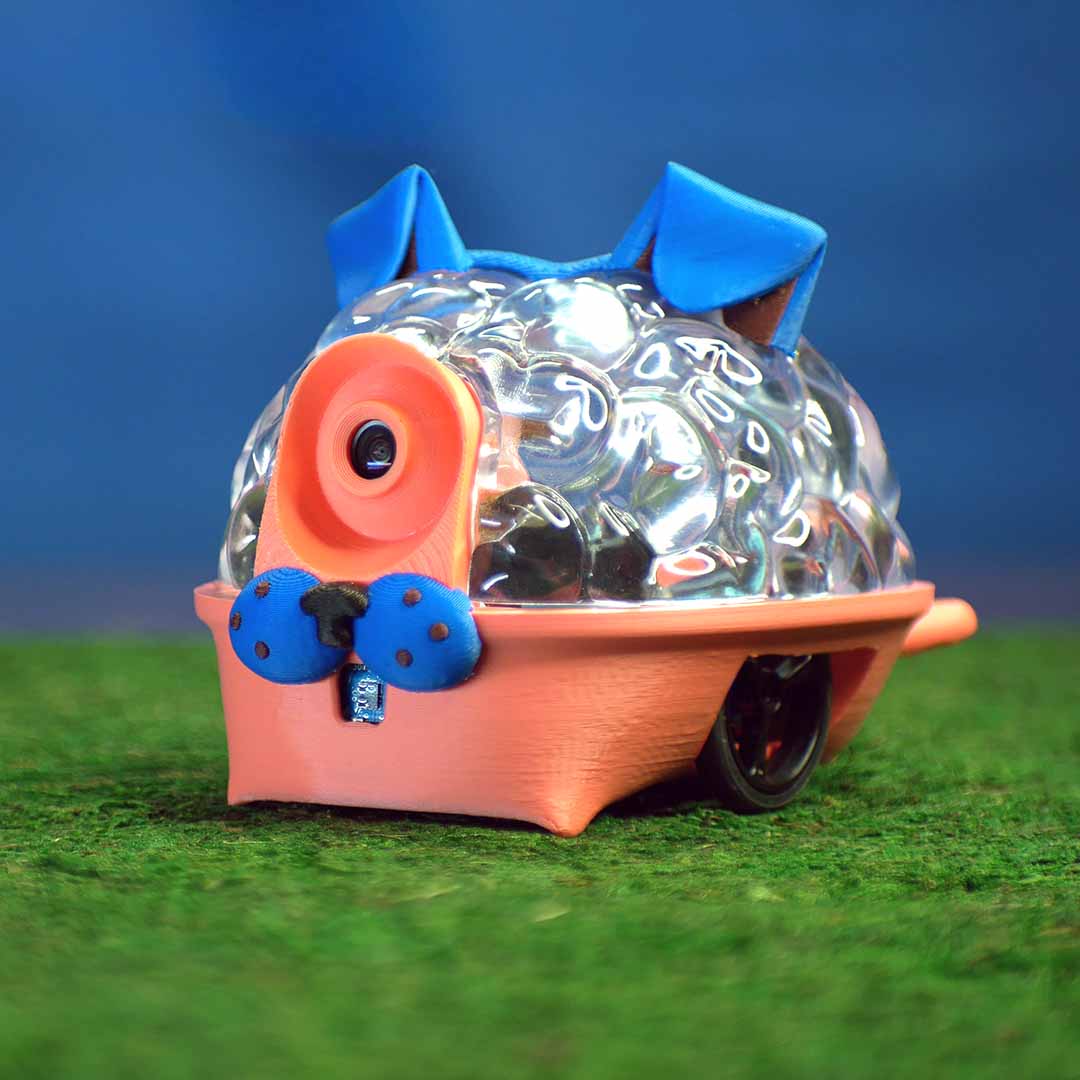 Robotics Through Real Neuroscience