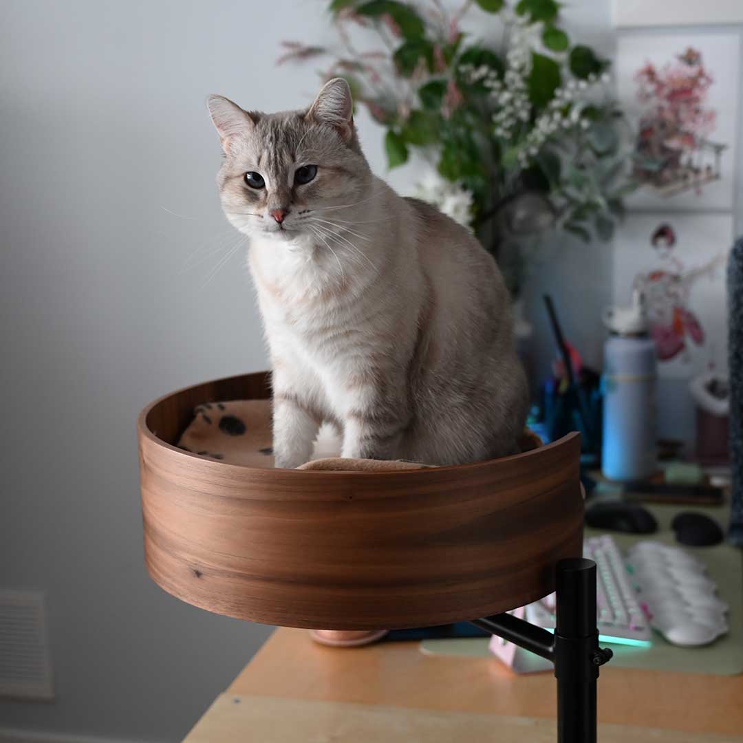Innovative Cat Bed For Your Desk