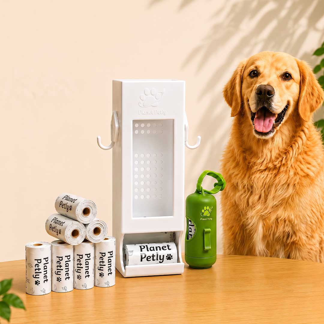 The Doorway Upgrade Dog Owners Need