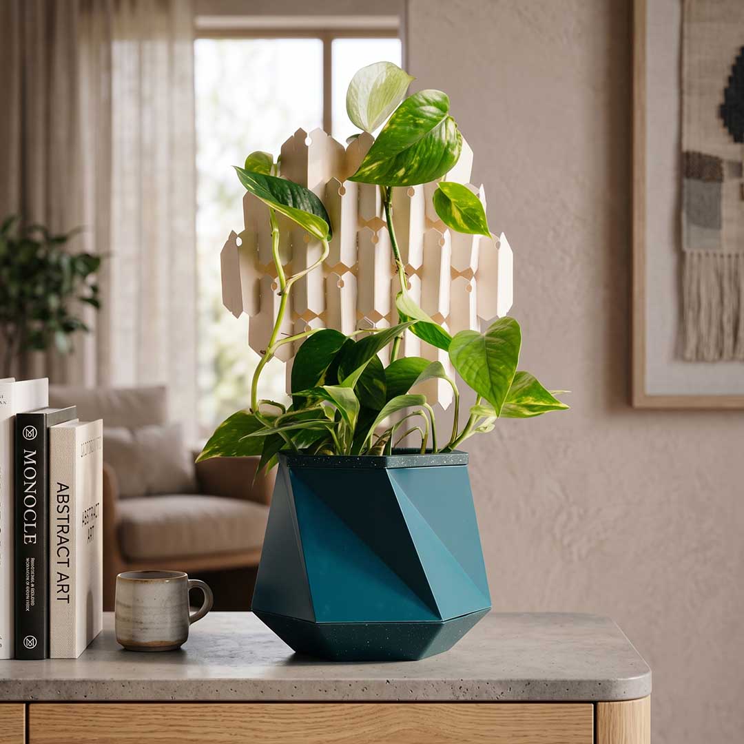 This Self-Watering Pot Grows With Your Plant