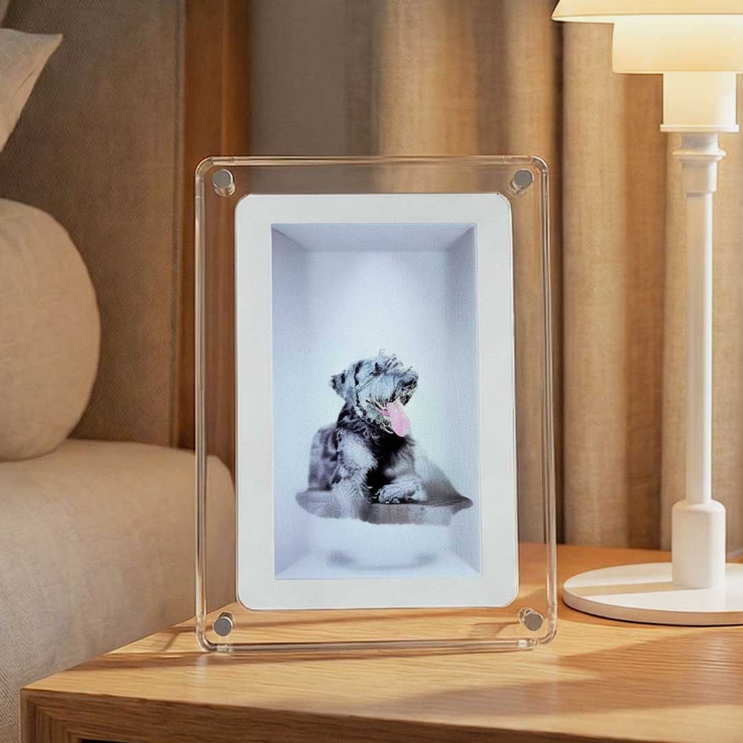 The First Consumer Holographic Photo and Video Frame