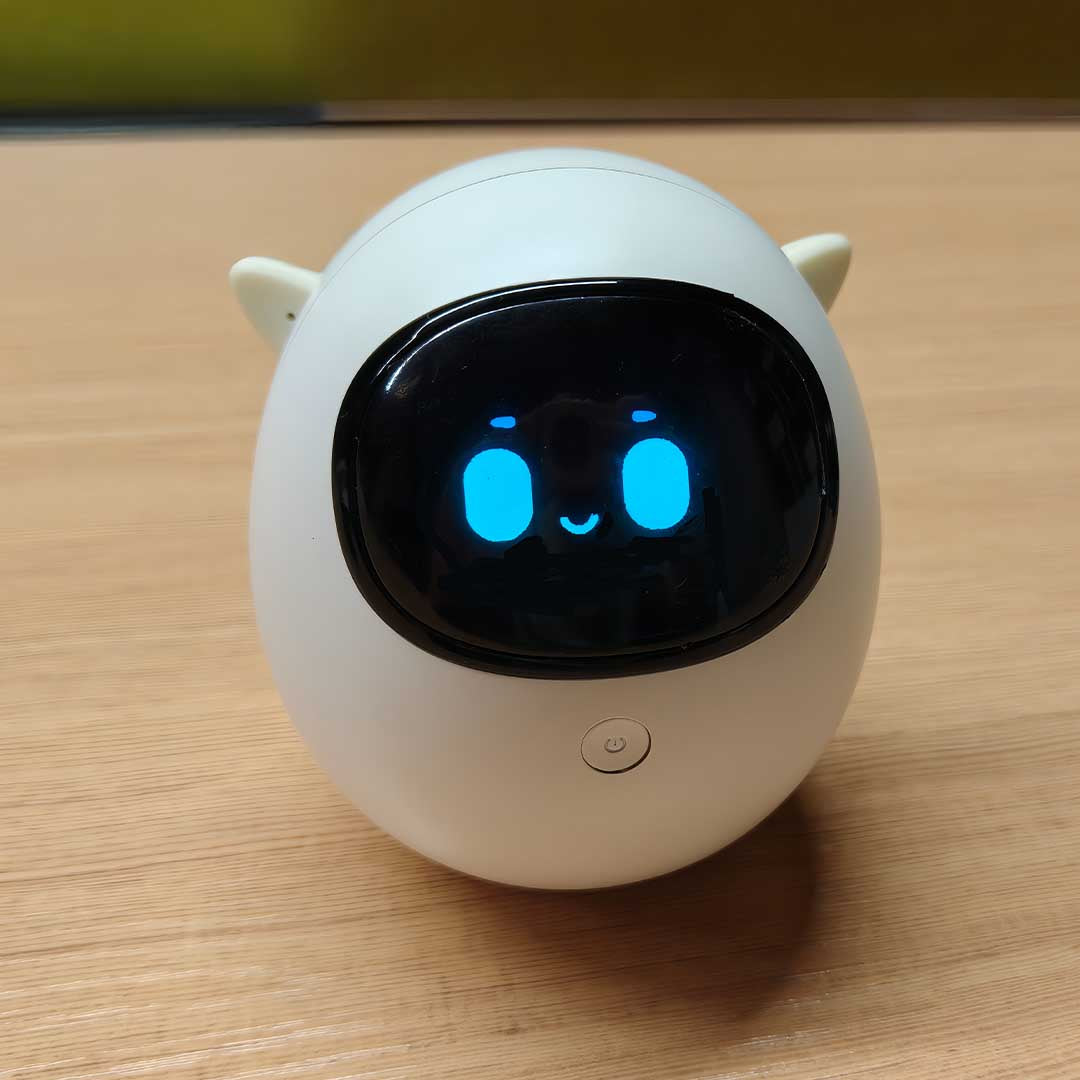 Gentle Companion For Quiet Moments