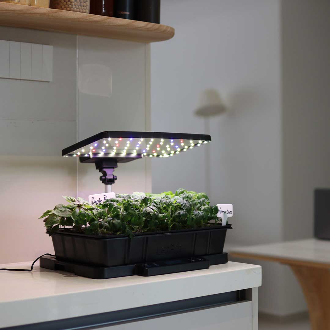 Start Strong, Grow Smarter