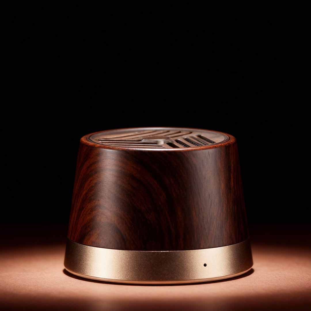 The Magnetic Wireless Charging Speaker