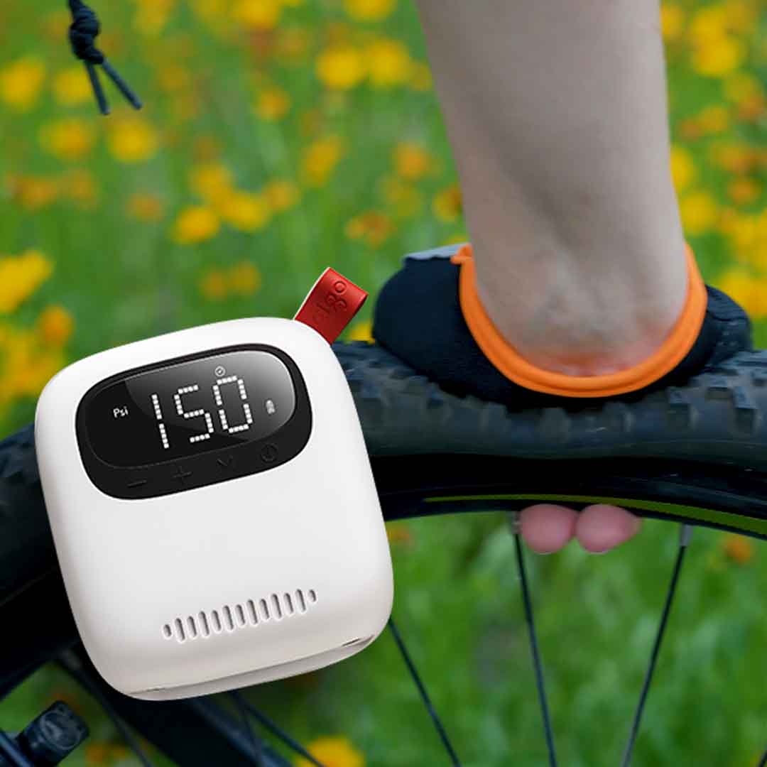 Big Air, Tiny Companion