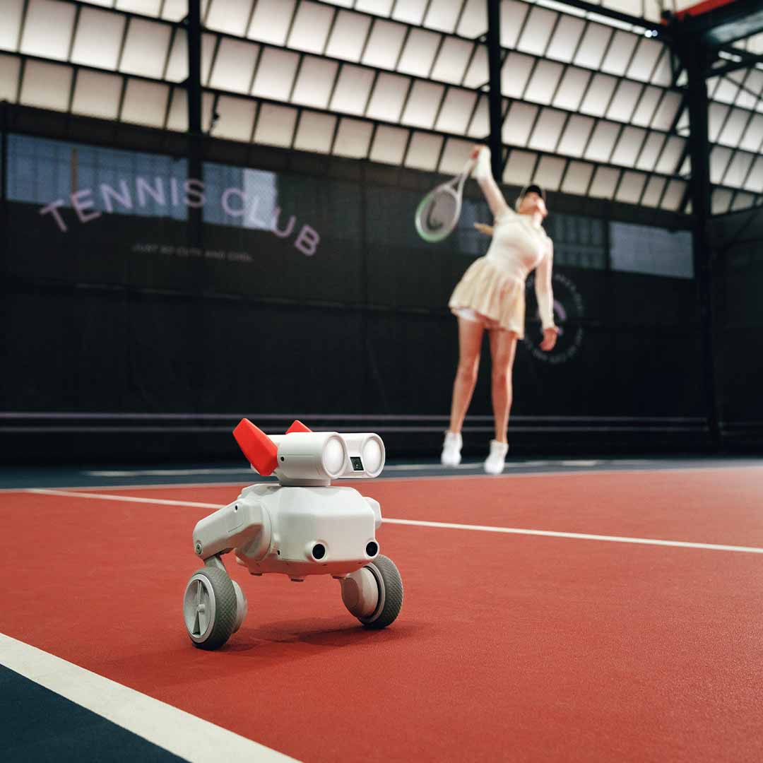 Your All-Terrain Robot Camera Operator