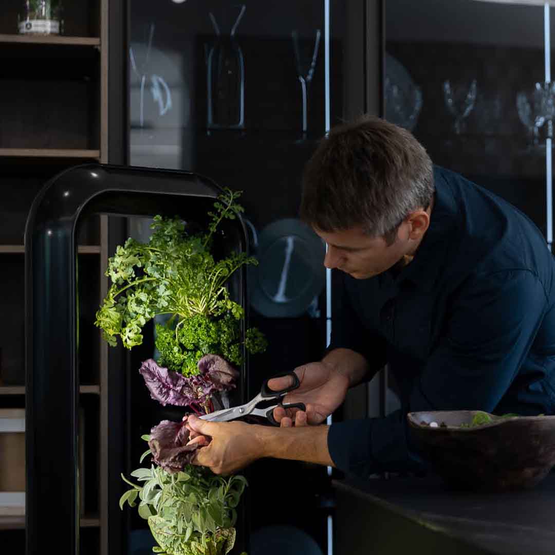 Indoor Vertical Herb Garden With Automated Care